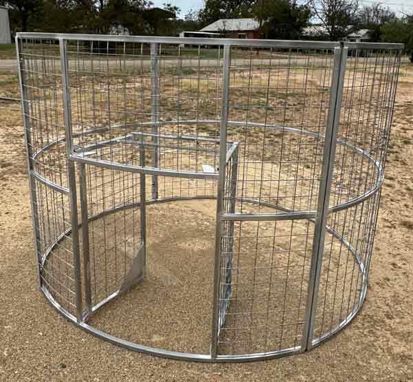 Texas Swine Saloon XL hog trap with saloon doors set and ready for trapping