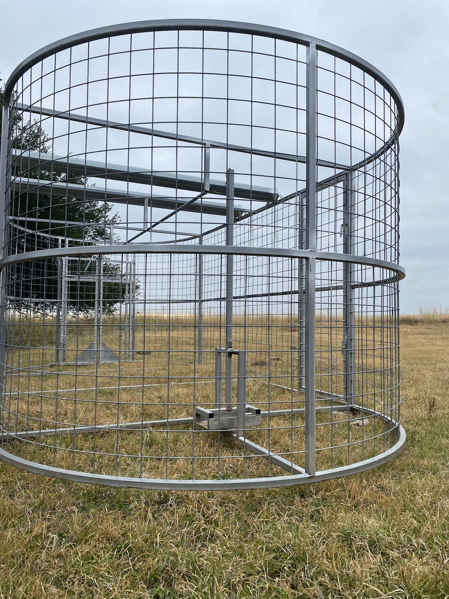 Boar Boss hog trap featuring a large-capacity design and integrated saloon door system