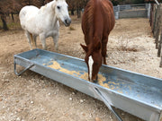 Horses eating oats from a Red River Arenas MF10 galvanized feed bunk