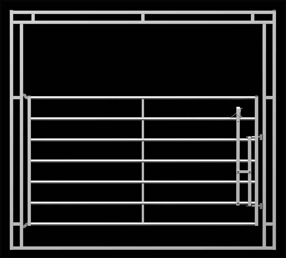 Walk Thru Gate- WH10T