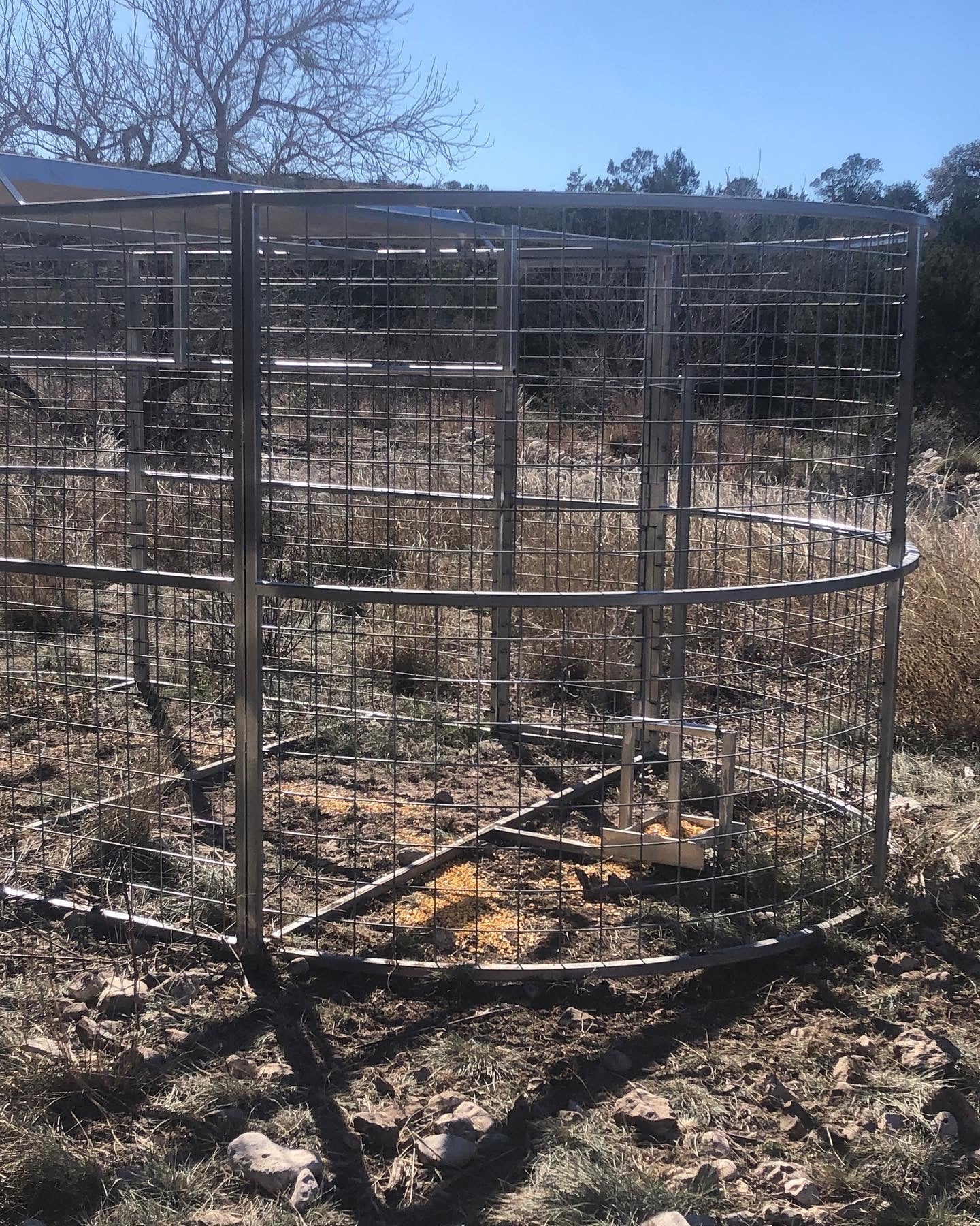 Large Boar Boss hog trap designed for landowners managing heavy feral hog populations