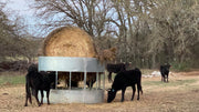 R6 heavy duty hay saver round bale feeder with calves feeding
