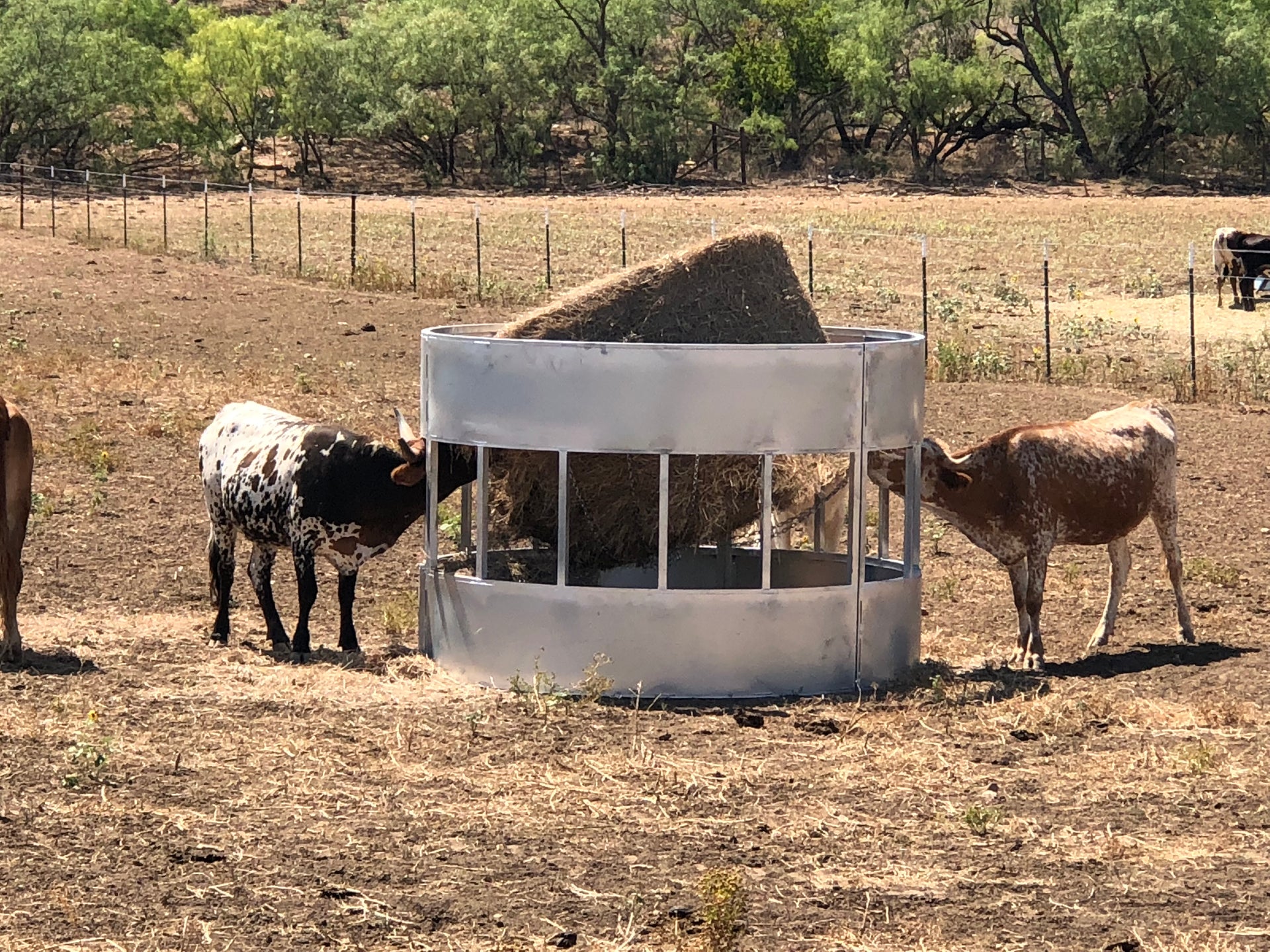 R6 heavy duty hay saver round bale feeder with cattle feeding