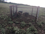 Portable Texas Swine Saloon hog trap used to capture feral hogs on ranch property